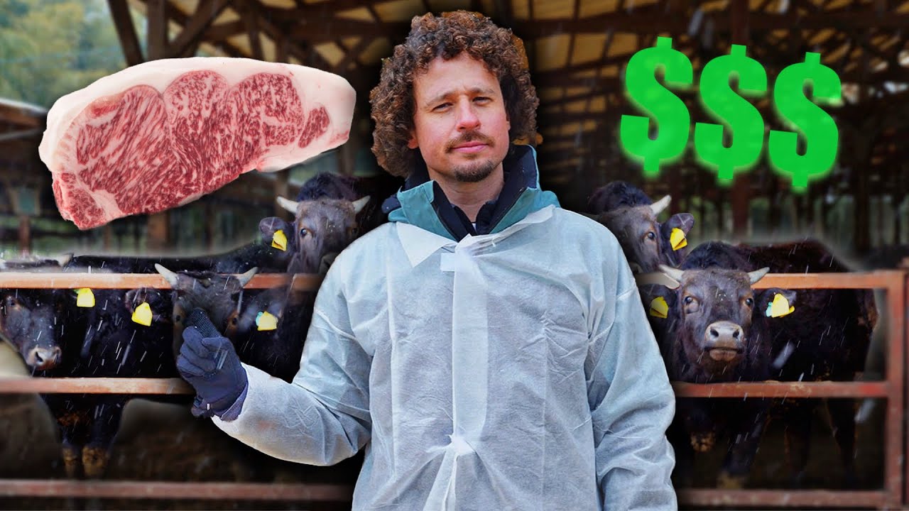 la carne mas cara del mundo kobe
