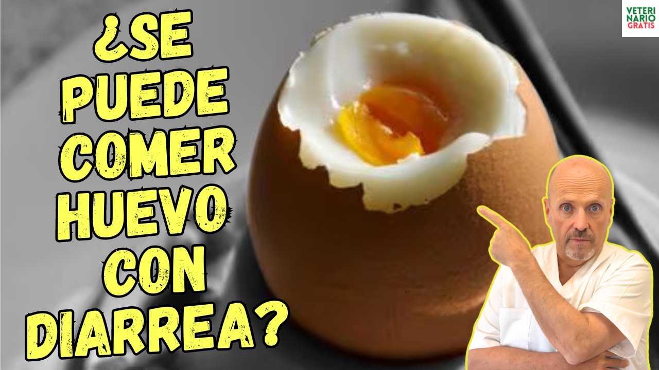 se puede comer huevo con diarrea