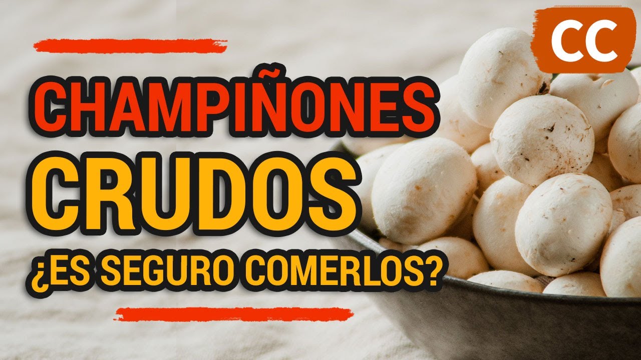 se pueden comer los champiñones crudos