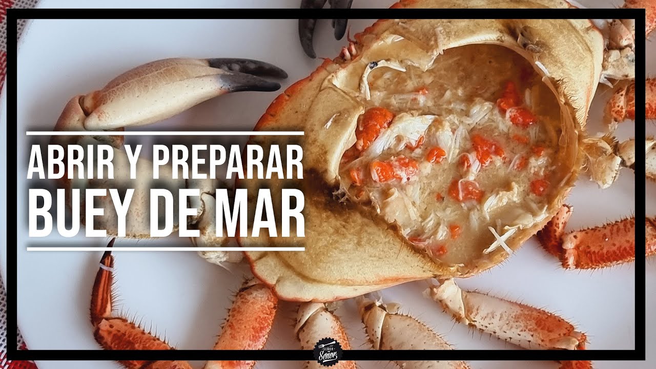 buey de mar congelado cocido como prepararlo