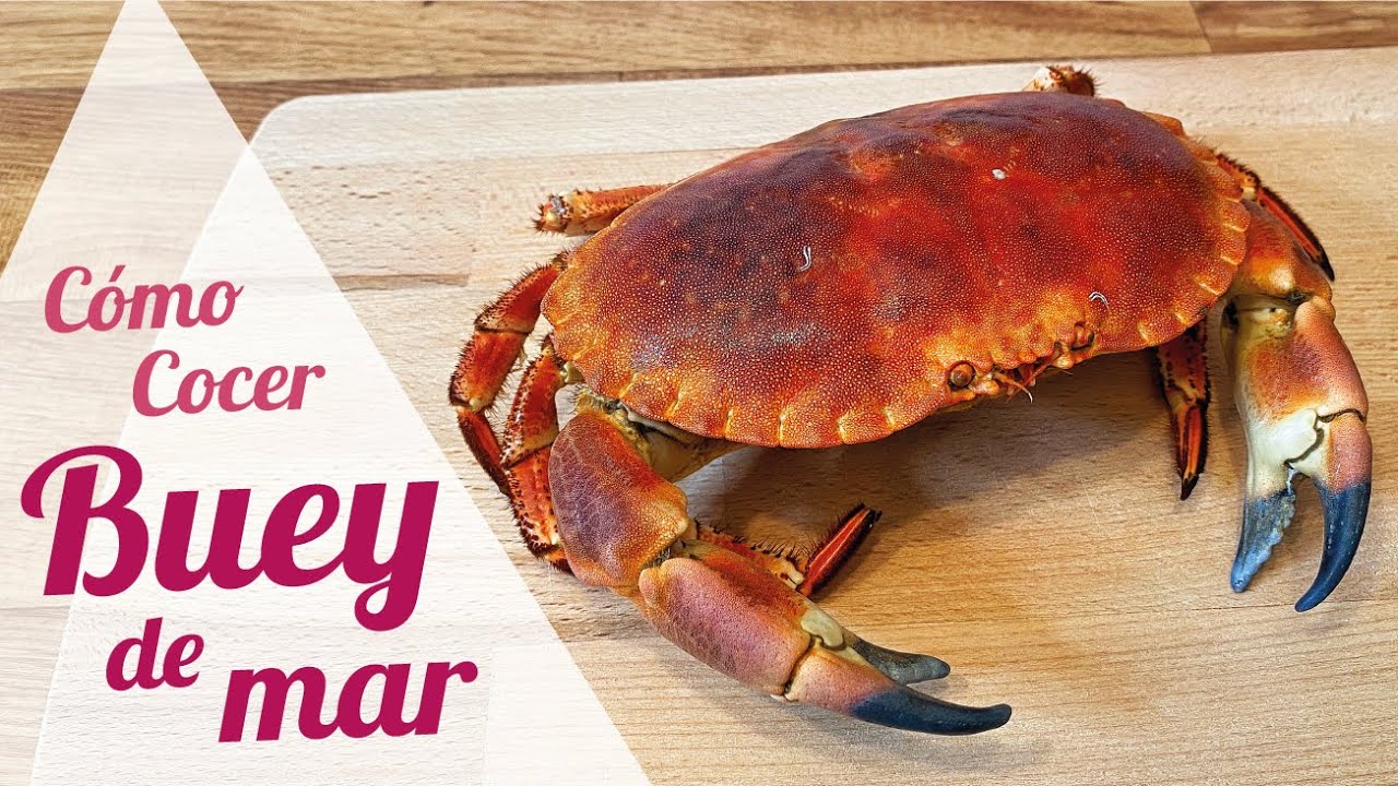 cuanto tiempo se cuece un buey de mar