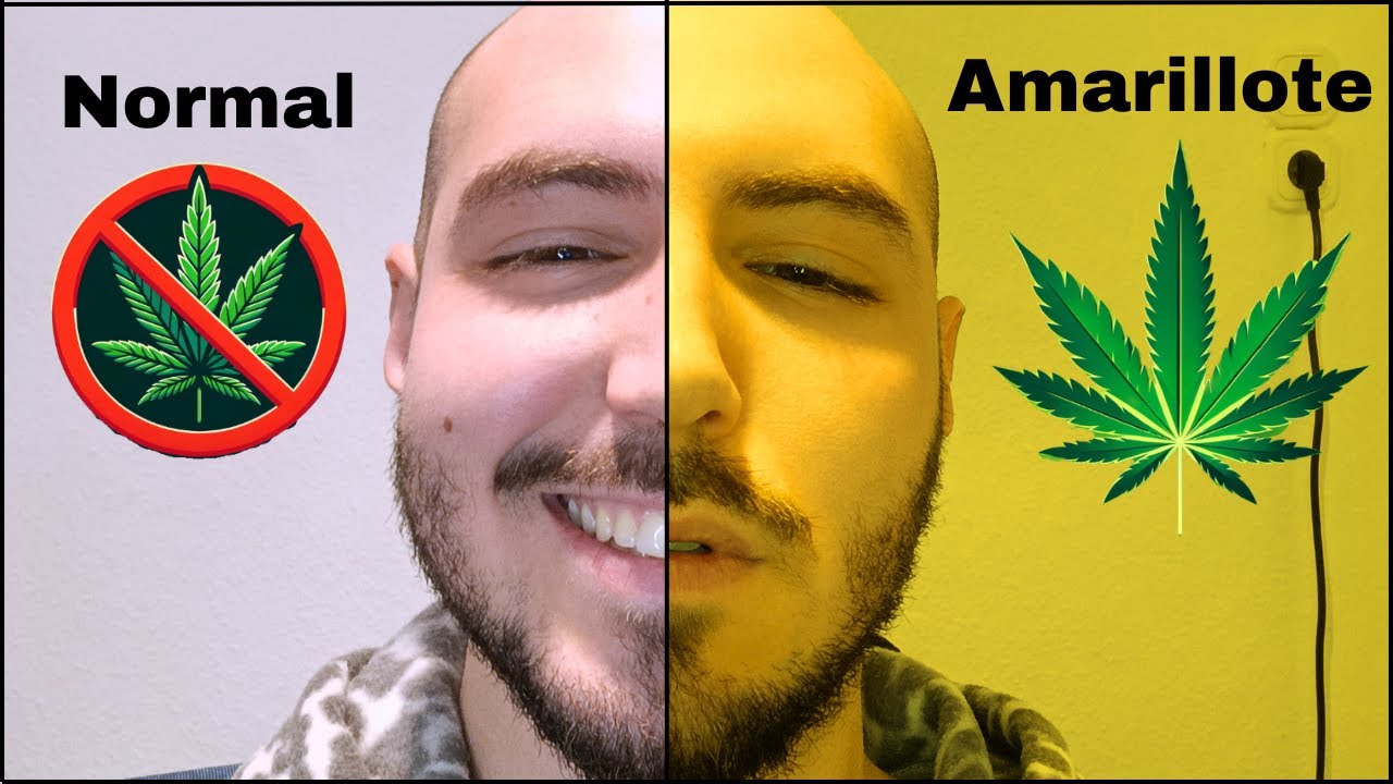 que es un amarillo por porros