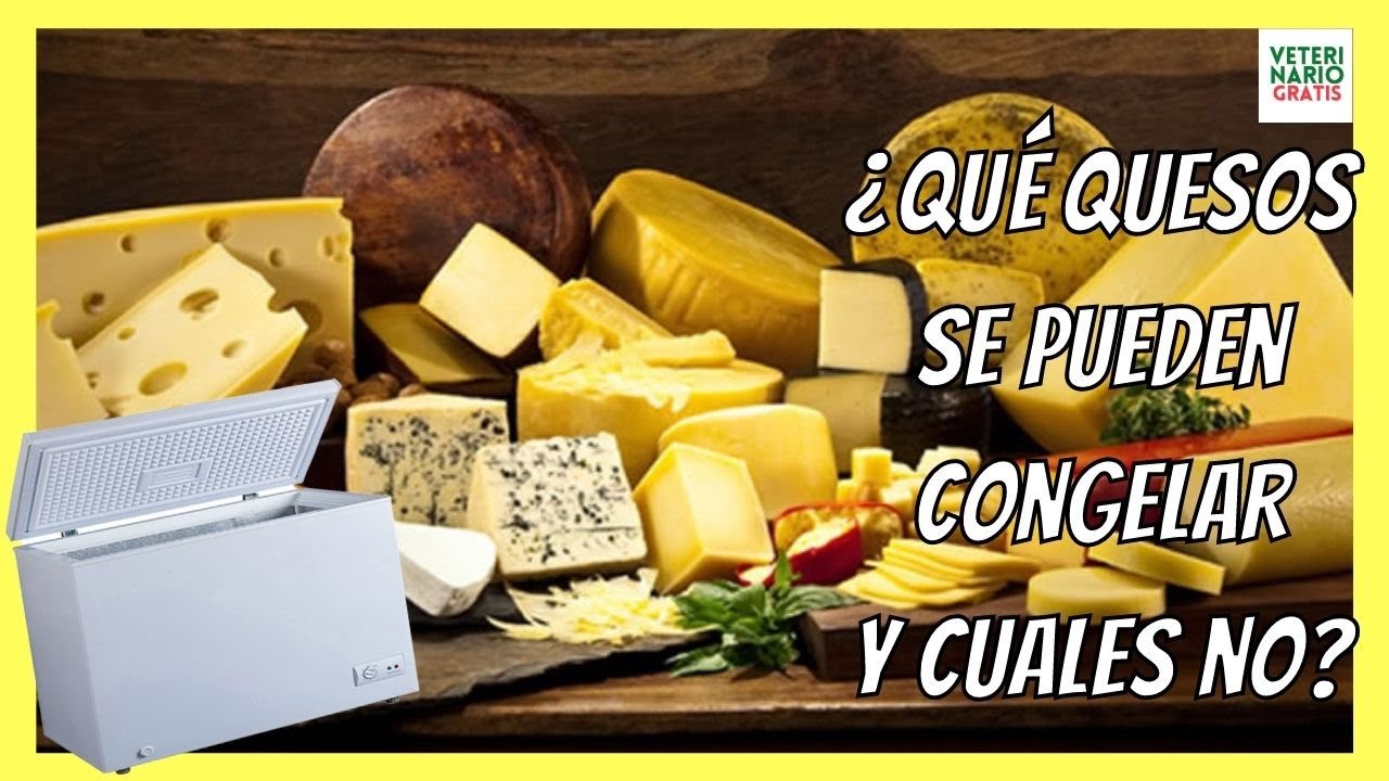 se puede congelar el queso curado de oveja