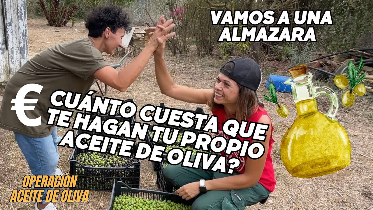 a cuánto se paga el kilo de aceituna