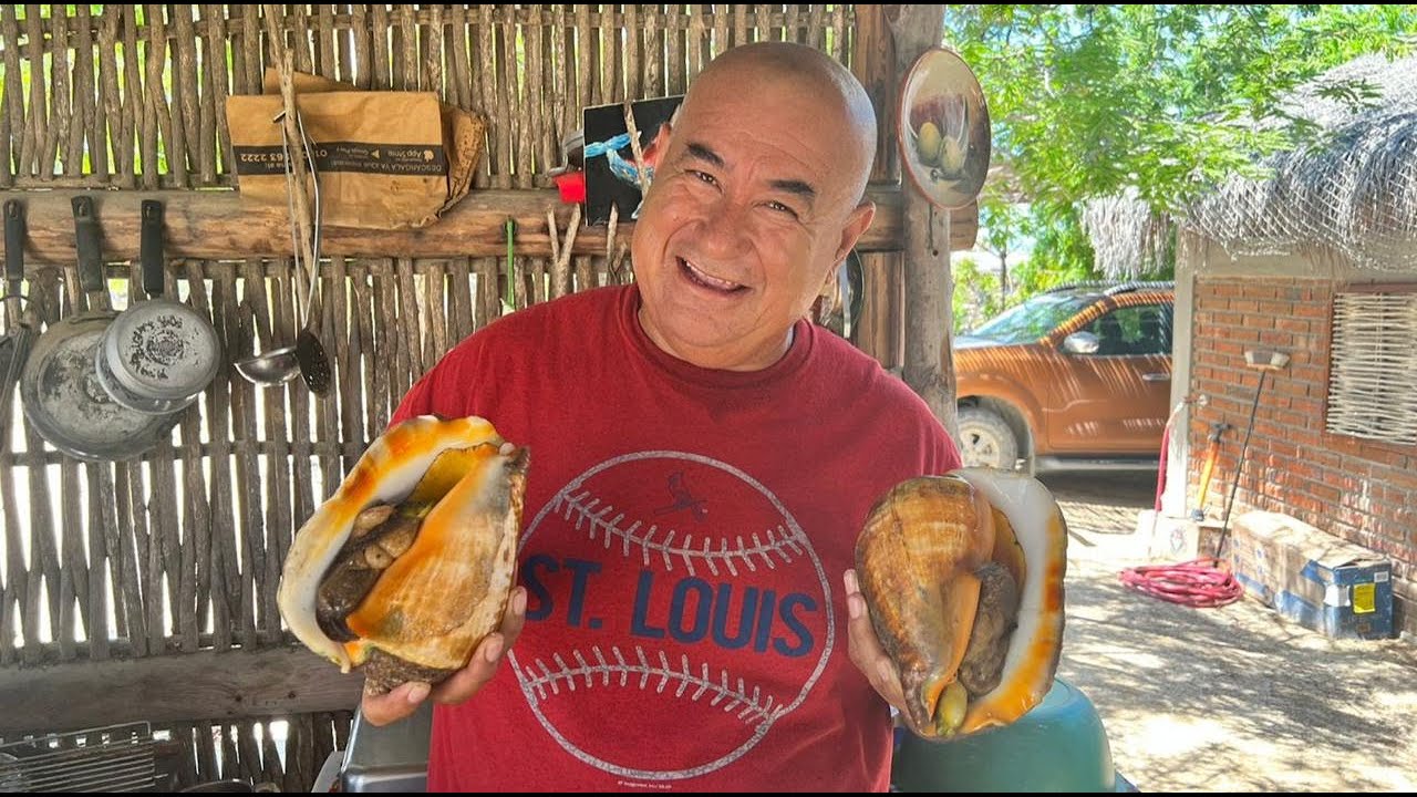 como cocinar caracoles de mar grandes