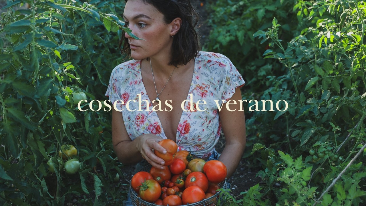 conserva de tomate de la abuela