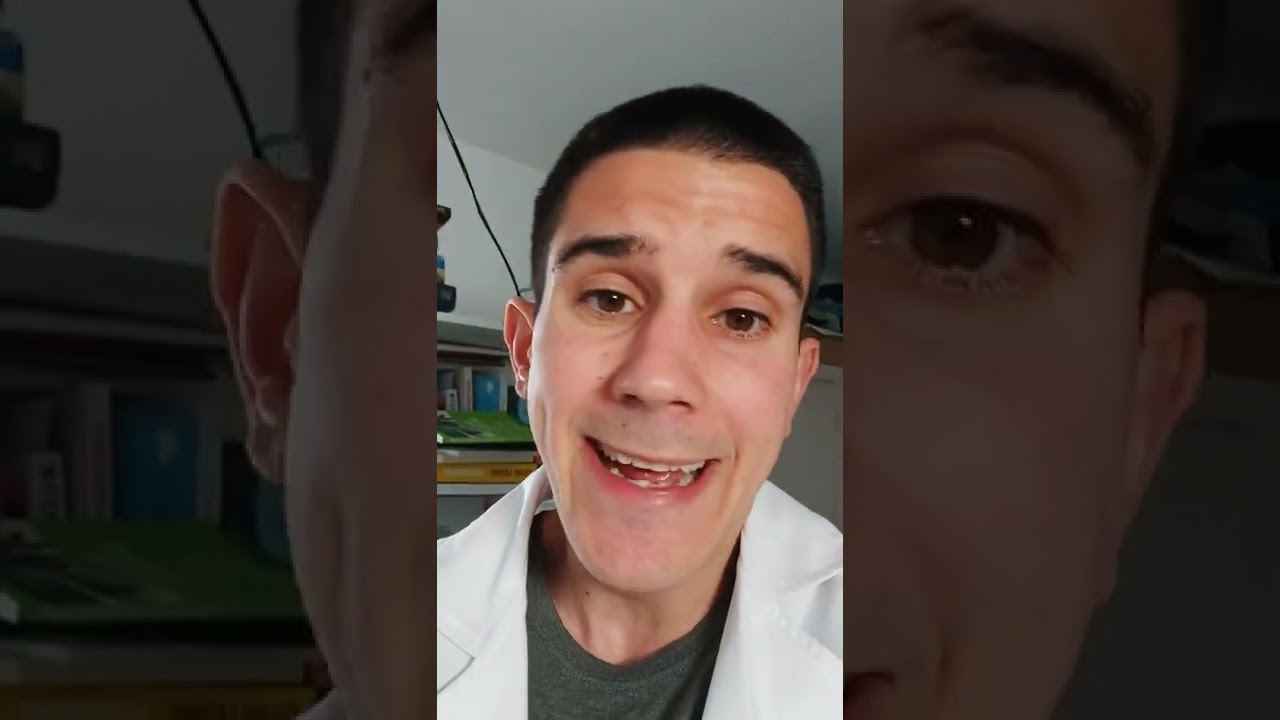 diferencia entre soja y judía mungo