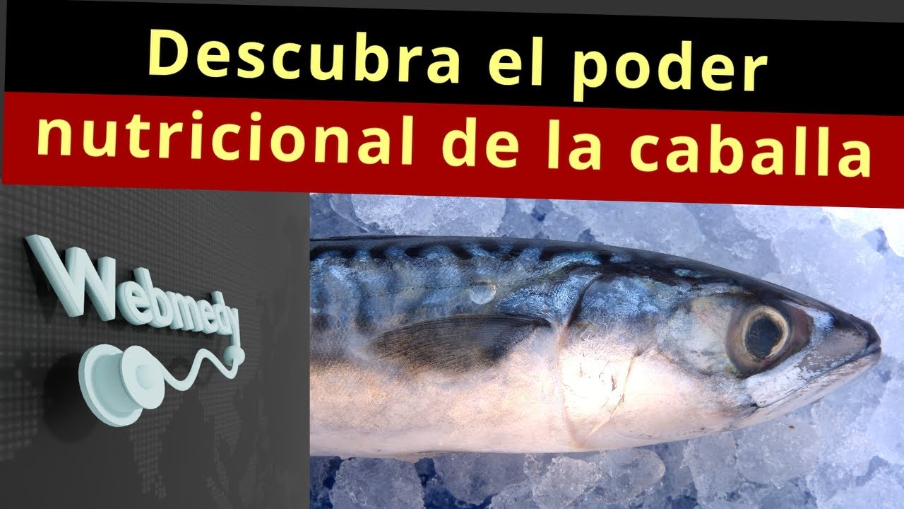 la caballa en lata es buena para el colesterol