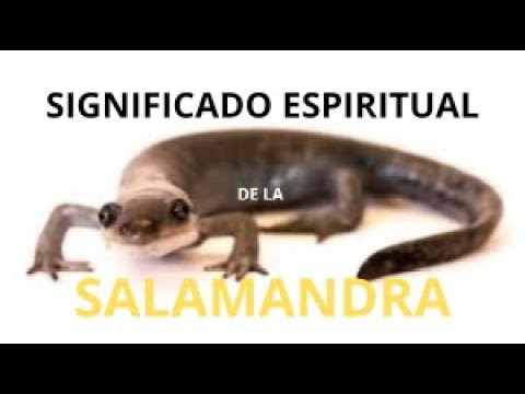 significado ver una salamandra en casa