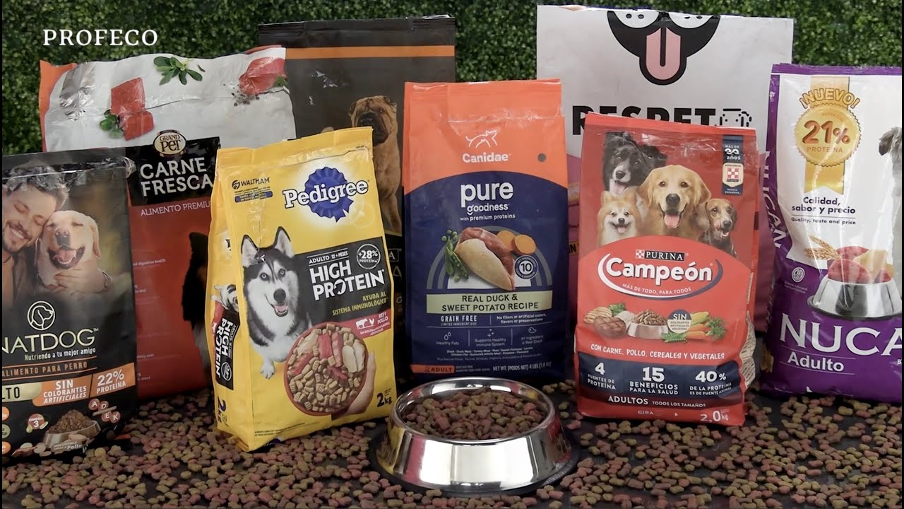 alimentos para perros baratos y buenos