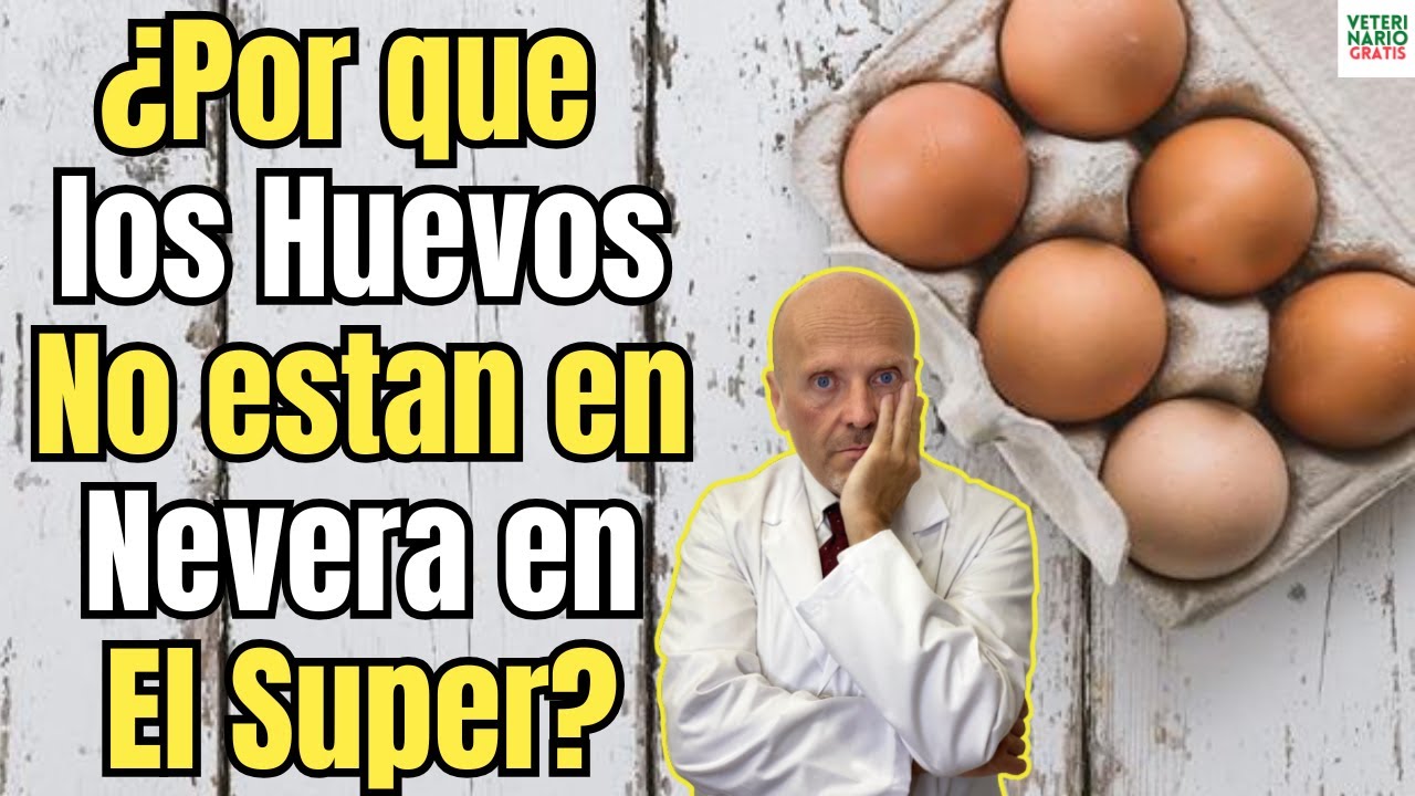 cuanto duran los huevos a temperatura ambiente