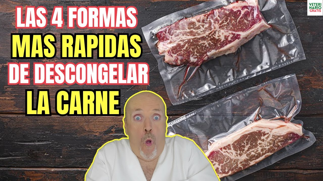 cuanto tarda la carne en descongelarse