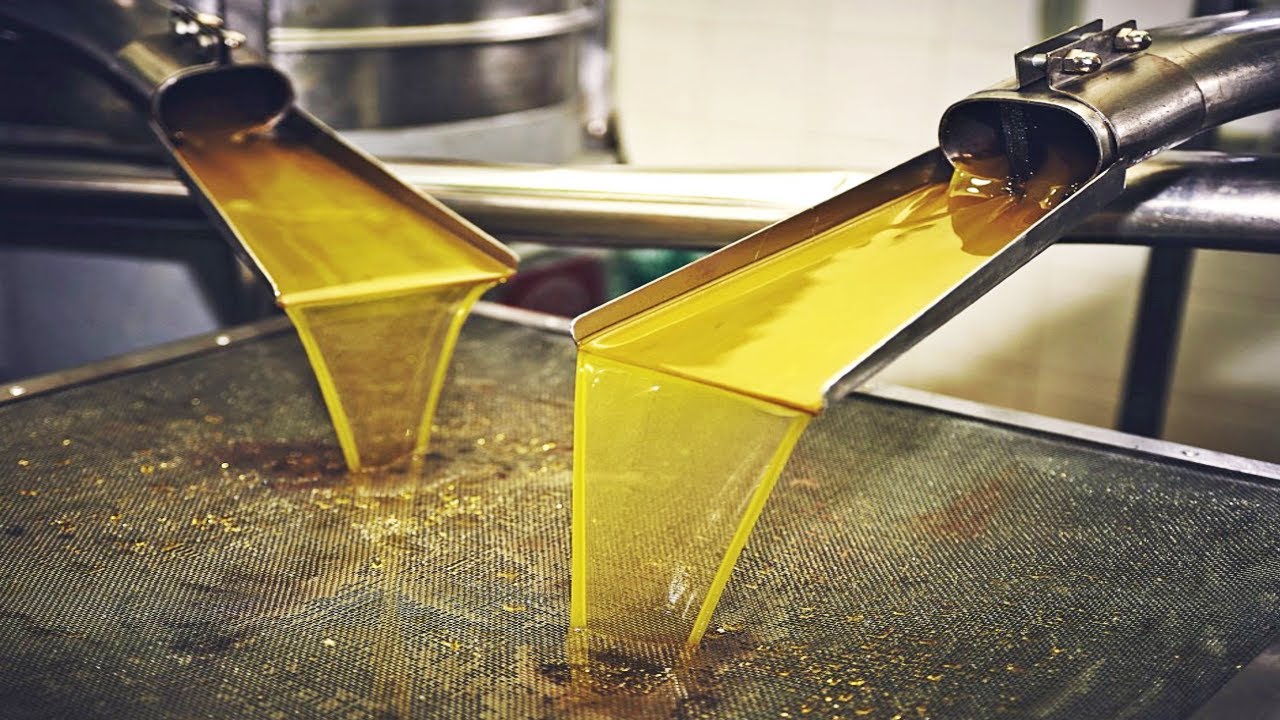 cuantos litros de aceite da un olivo