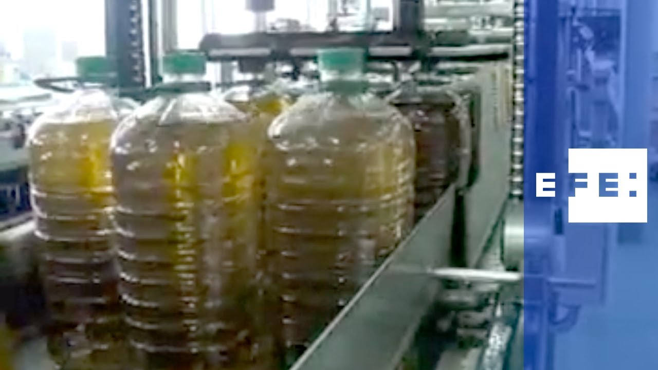 el mejor aceite de priego de cordoba