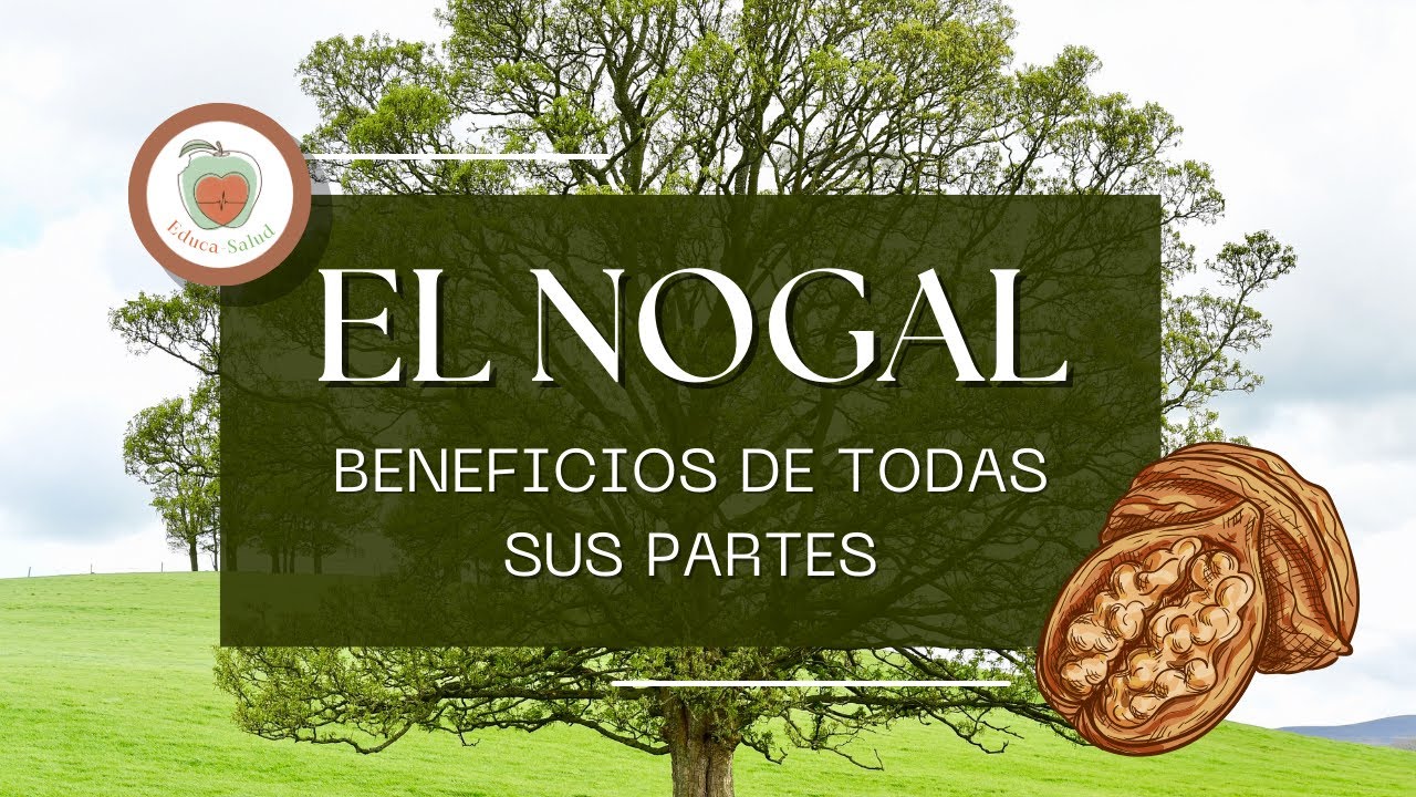 el nogal es de hoja caduca o perenne