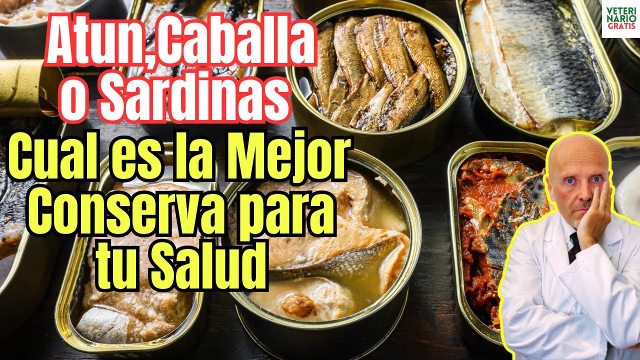 las mejores conservas de pescado de españa
