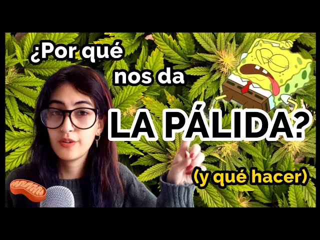 síntomas de un amarillo por porros