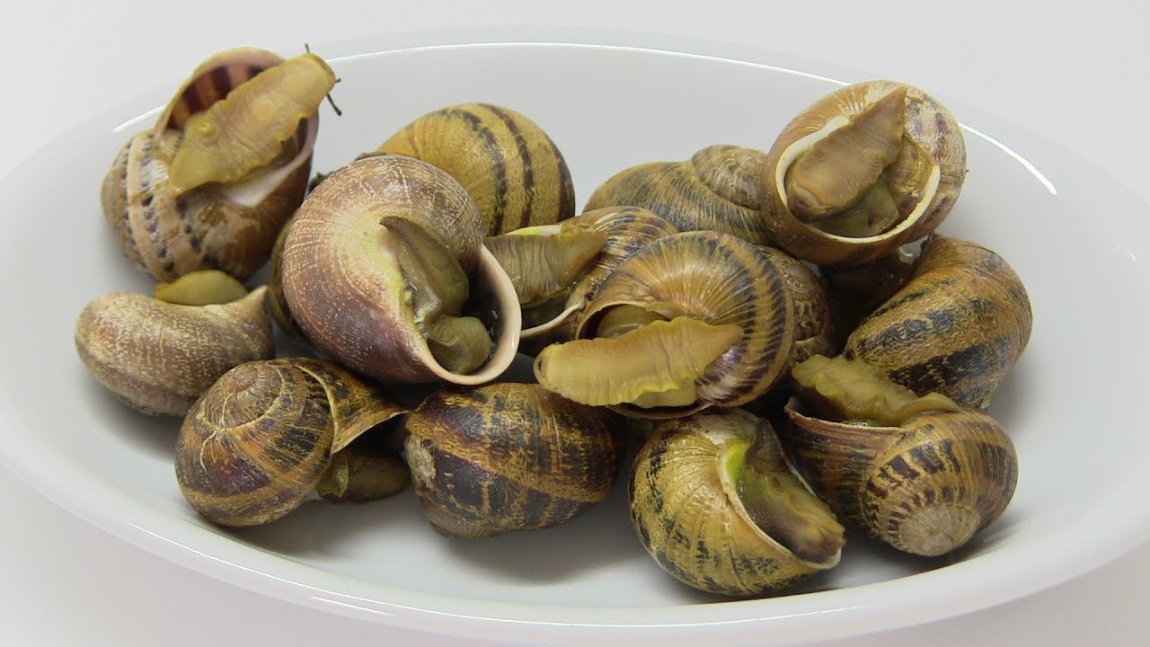 como cocer caracoles para que queden fuera