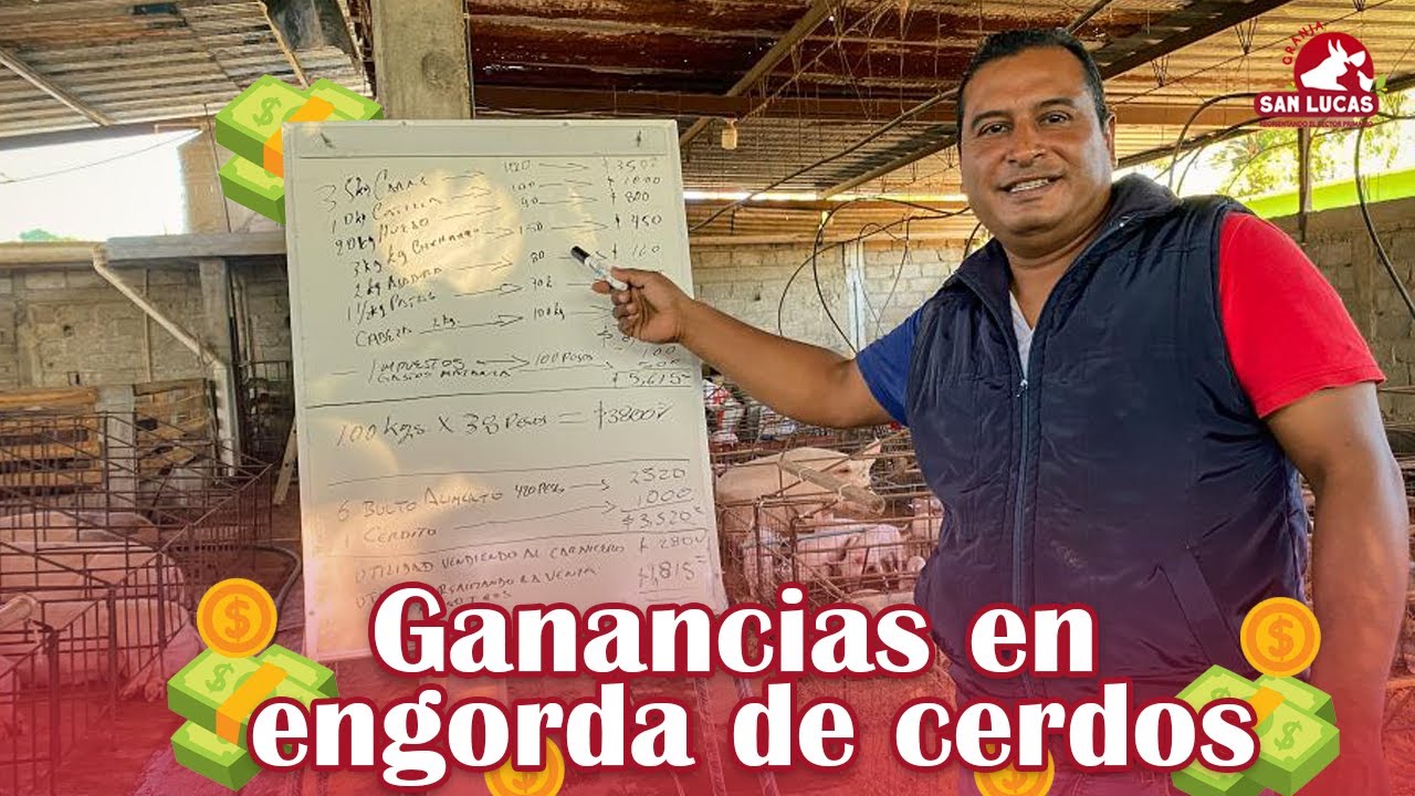 cuanto se gana en una granja de cerdos