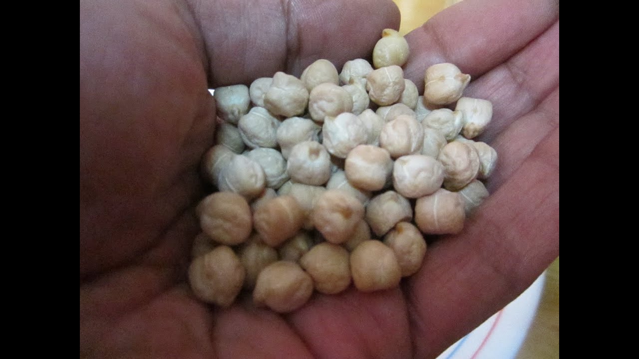 cuantos garbanzos por persona para un cocido