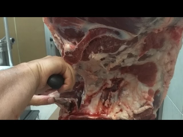 de que parte son las entrañas