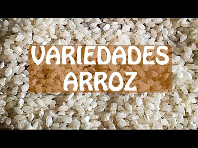 mejor arroz para paella de marisco