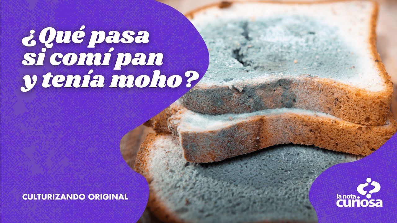 pan con moho se puede comer