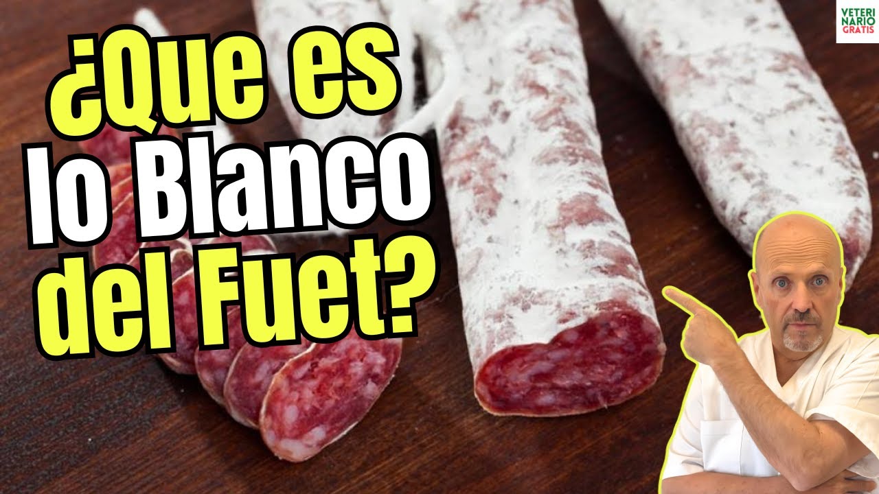 que es lo blanco del fuet