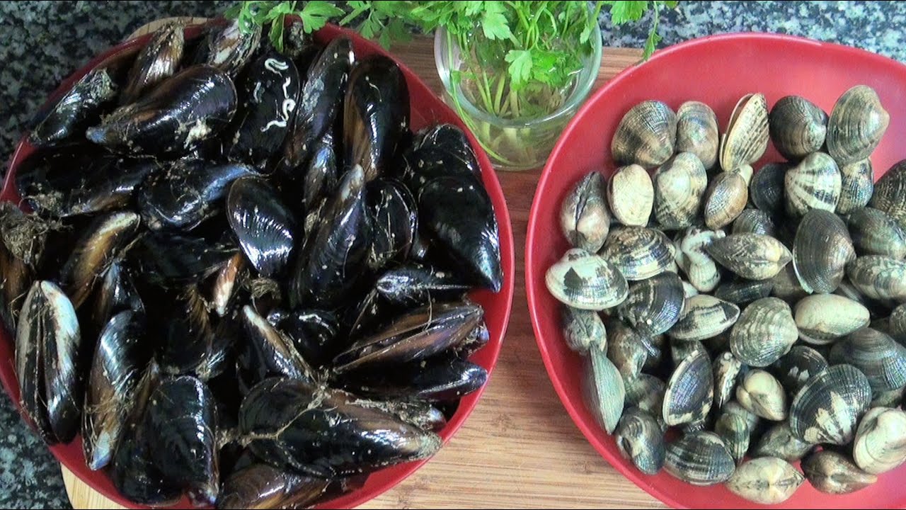 como conservar los mejillones una vez cocidos