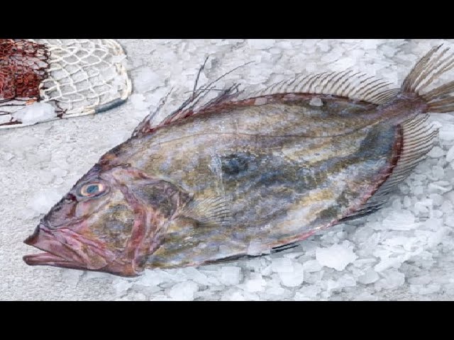 gallo de san pedro al horno