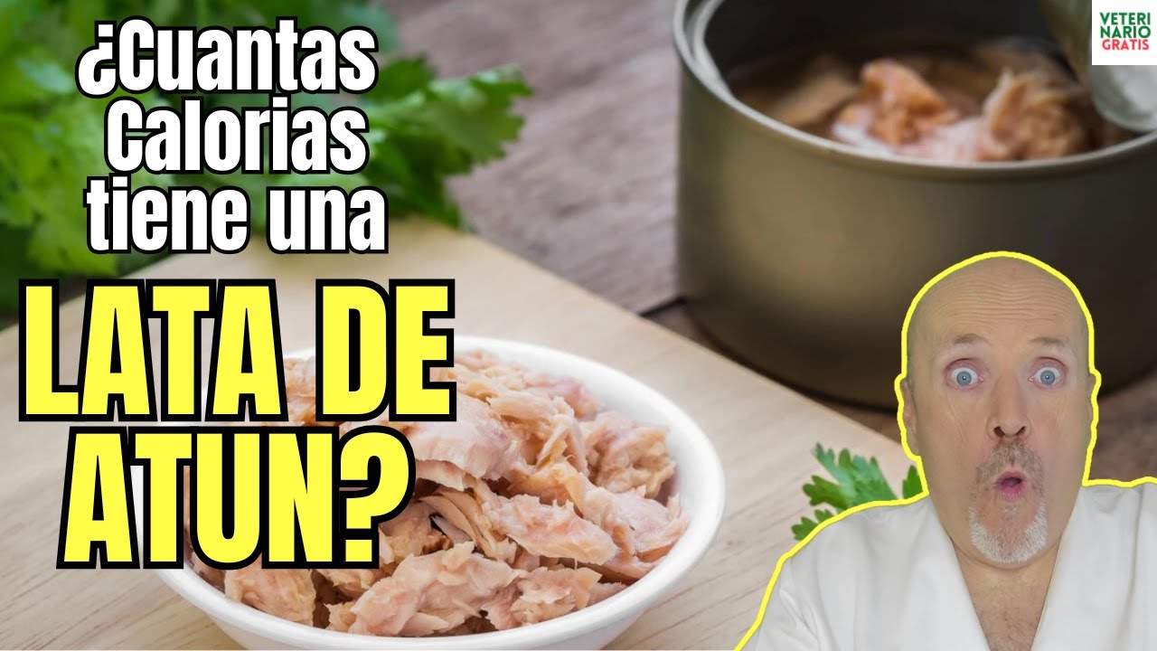 propiedades del atún en lata con aceite de oliva