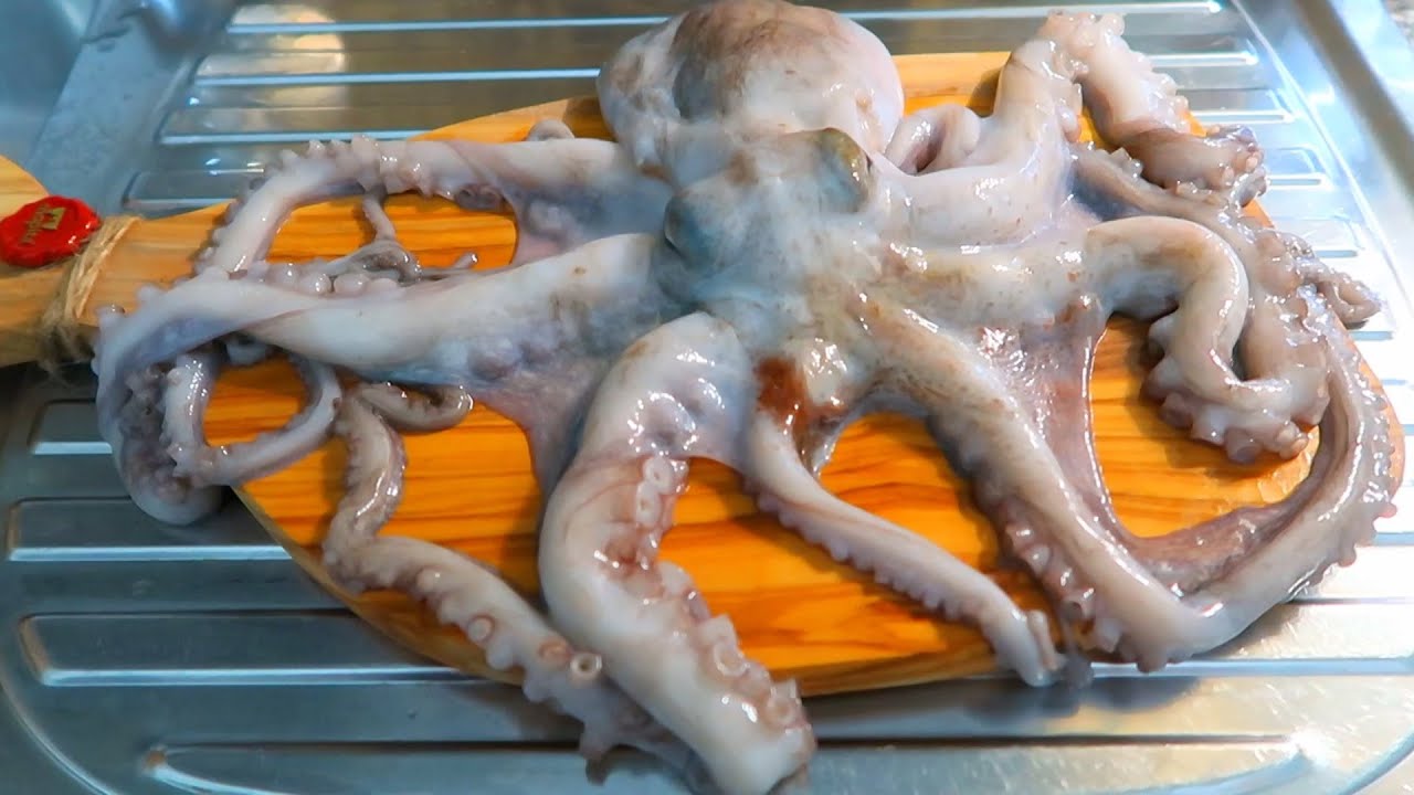 se come la cabeza del pulpo