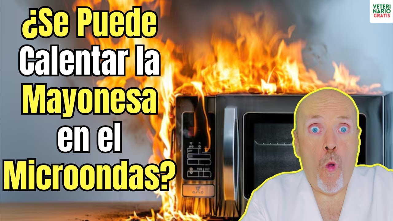 se puede calentar la mayonesa en el horno