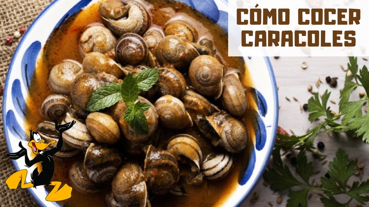 tiempo de cocción de los caracoles