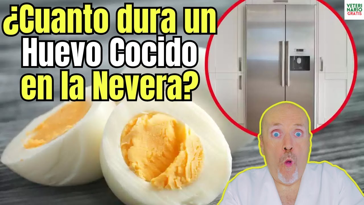 cuanto dura un huevo en el frigorifico