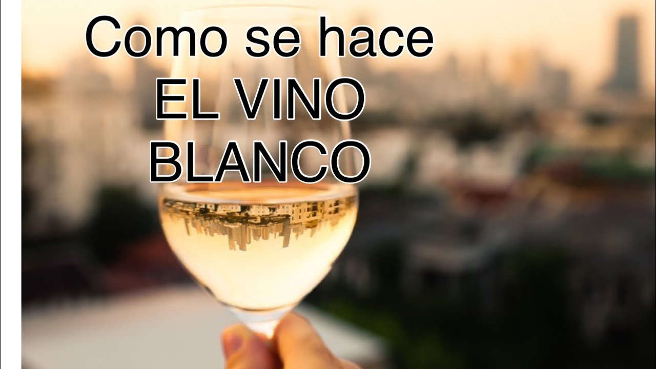 como se hace el vino blanco