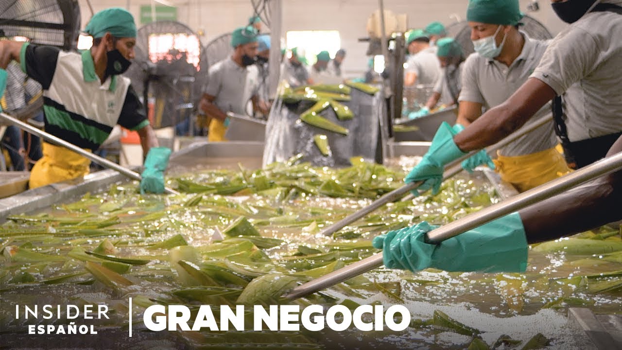empresas que compran aloe vera en españa